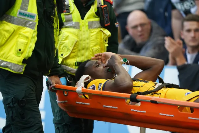 Danny Welbeck injury update following Brighton's victory against Newcastle United